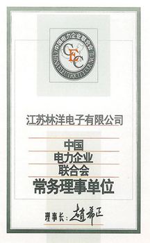 電力企業(yè)聯(lián)合會常務理事單位